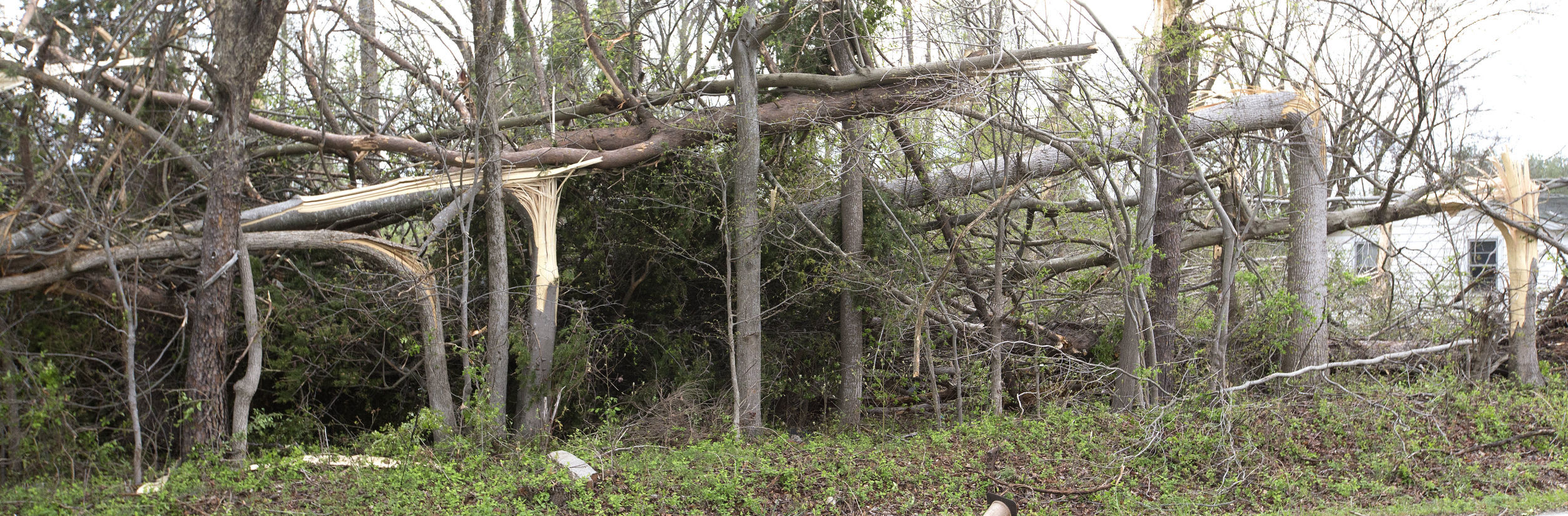 Tornado Aftermath